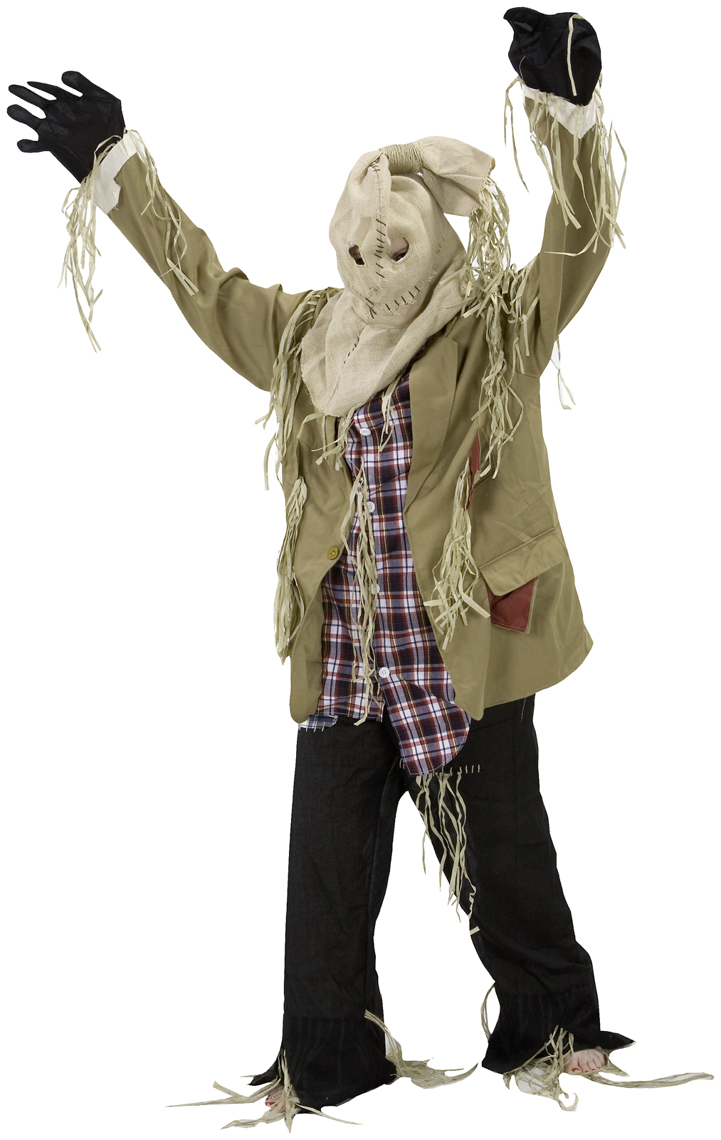 Gemmy Men's Scarecrow Adult Costume - One-Size