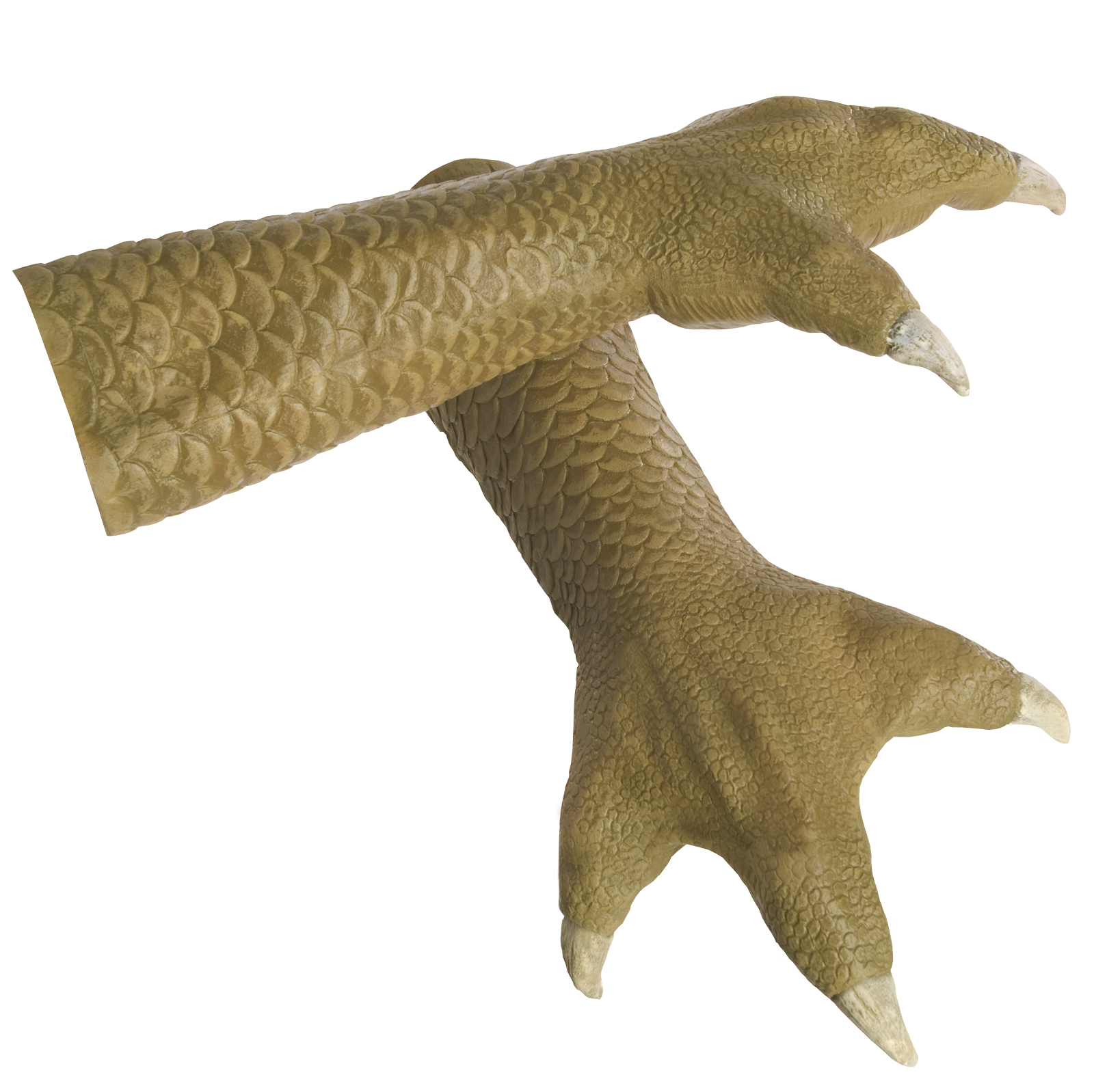 Rubie's Costume Co Women's Star Wars Bossk Hands (Adult) - Green - One-Size