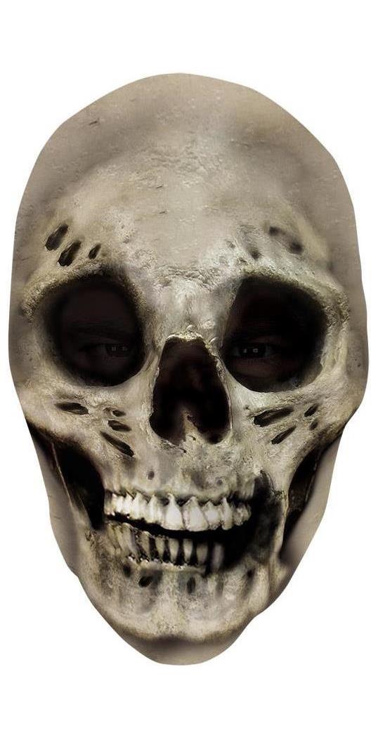 Disguise Int'l  **See A/R Acct 176208 Men's Scary Skull Mask - Standard