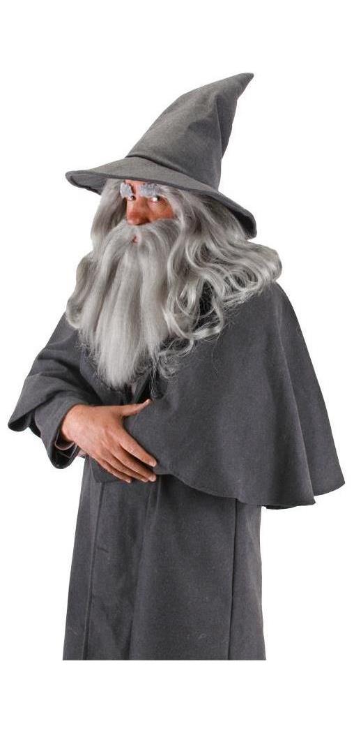 Elope Men's Hobbit Gandalf Wig And Beard Adult - Standard