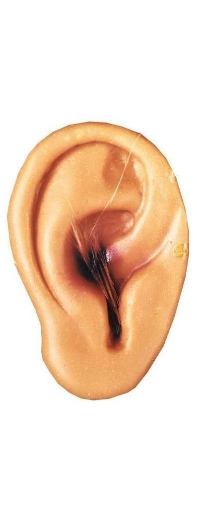 Tailuxe Artware(Shenzhen) Co. Ltd Men's Latex Cut Off Ear New - Standard