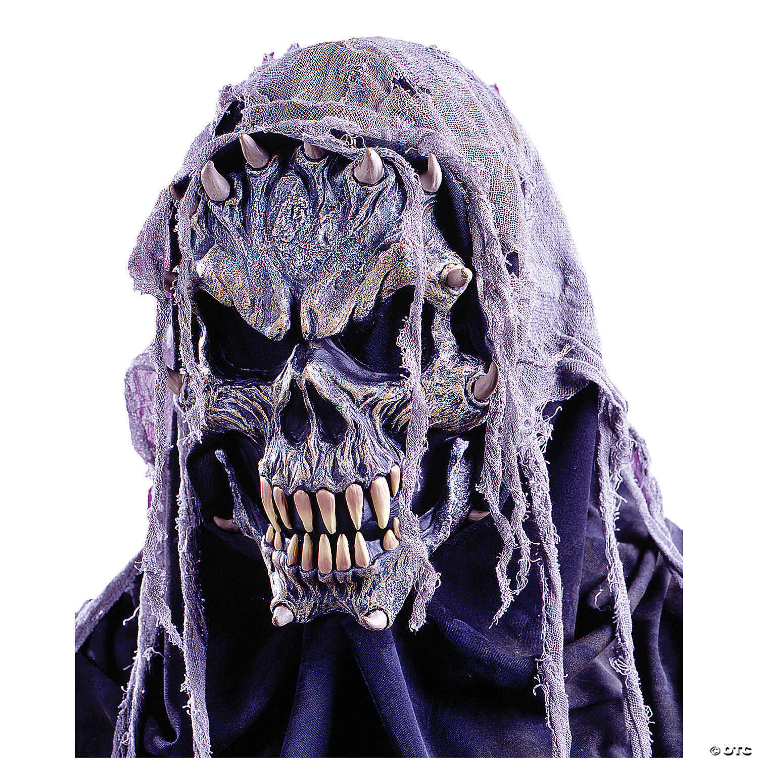 Fun World/Holiday Times Men's Gauze Crypt Creature Mask - Standard