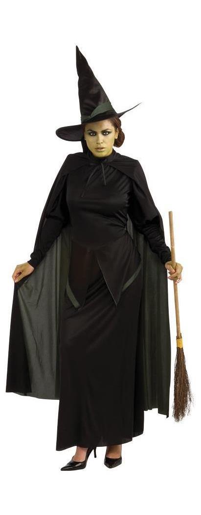 Rubie's Costume Co Men's Wicked Witch Adult Costume - Standard