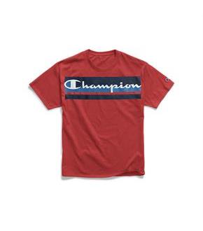 Champion Men S Classic Jersey Tee Logo With Stripes Spicylegs