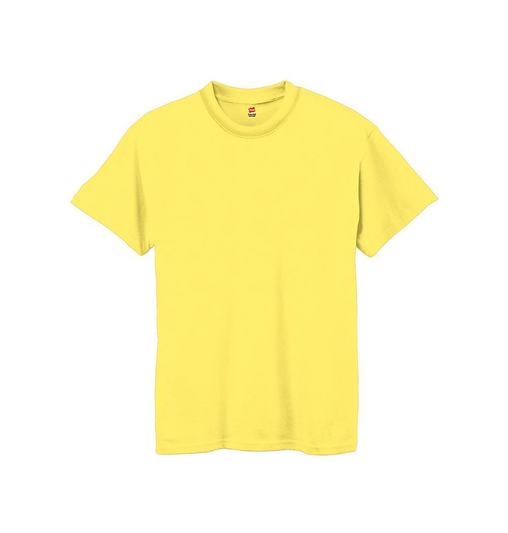 Hanes Boys' TAGLESS ComfortSoft Crewneck T-Shirt - SpicyLegs.com