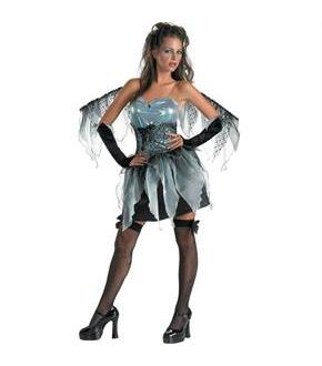 Frost Fairy Adult Costume